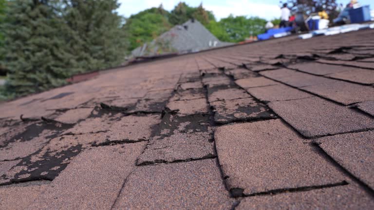 Best 4 Ply Roofing  in Sun City, AZ